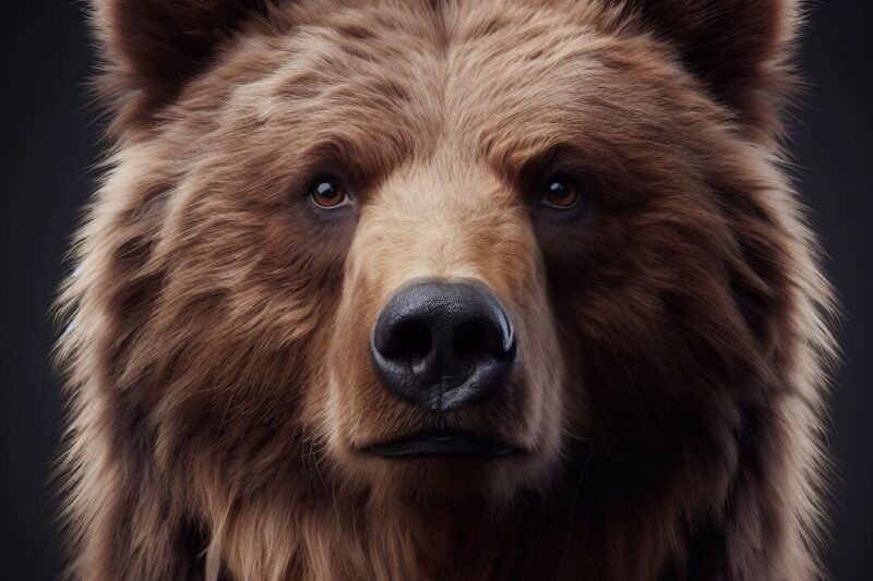 Episode 29 : Bear Visits Picnic in Mexico